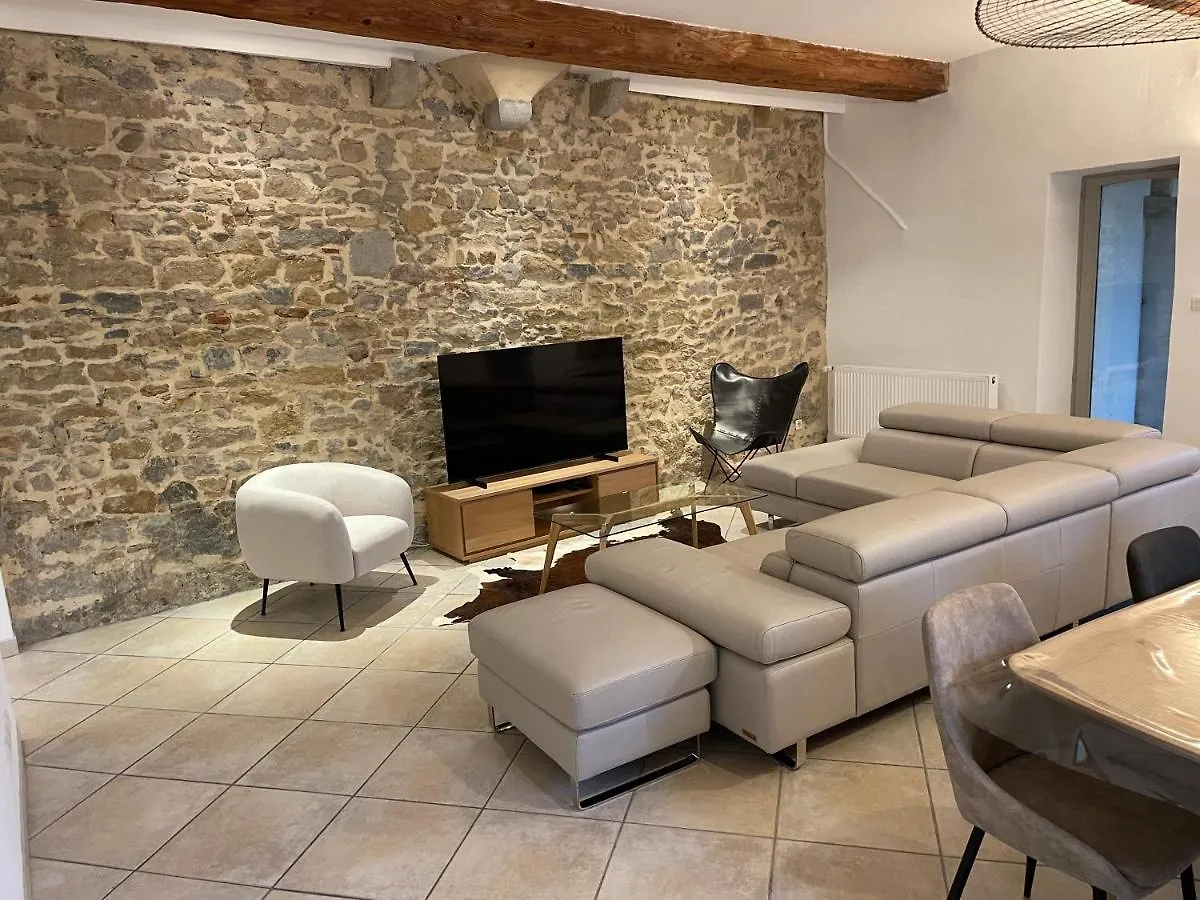 리옹 Beau Duplex Avec Jardin Et Vue 아파트 0*,