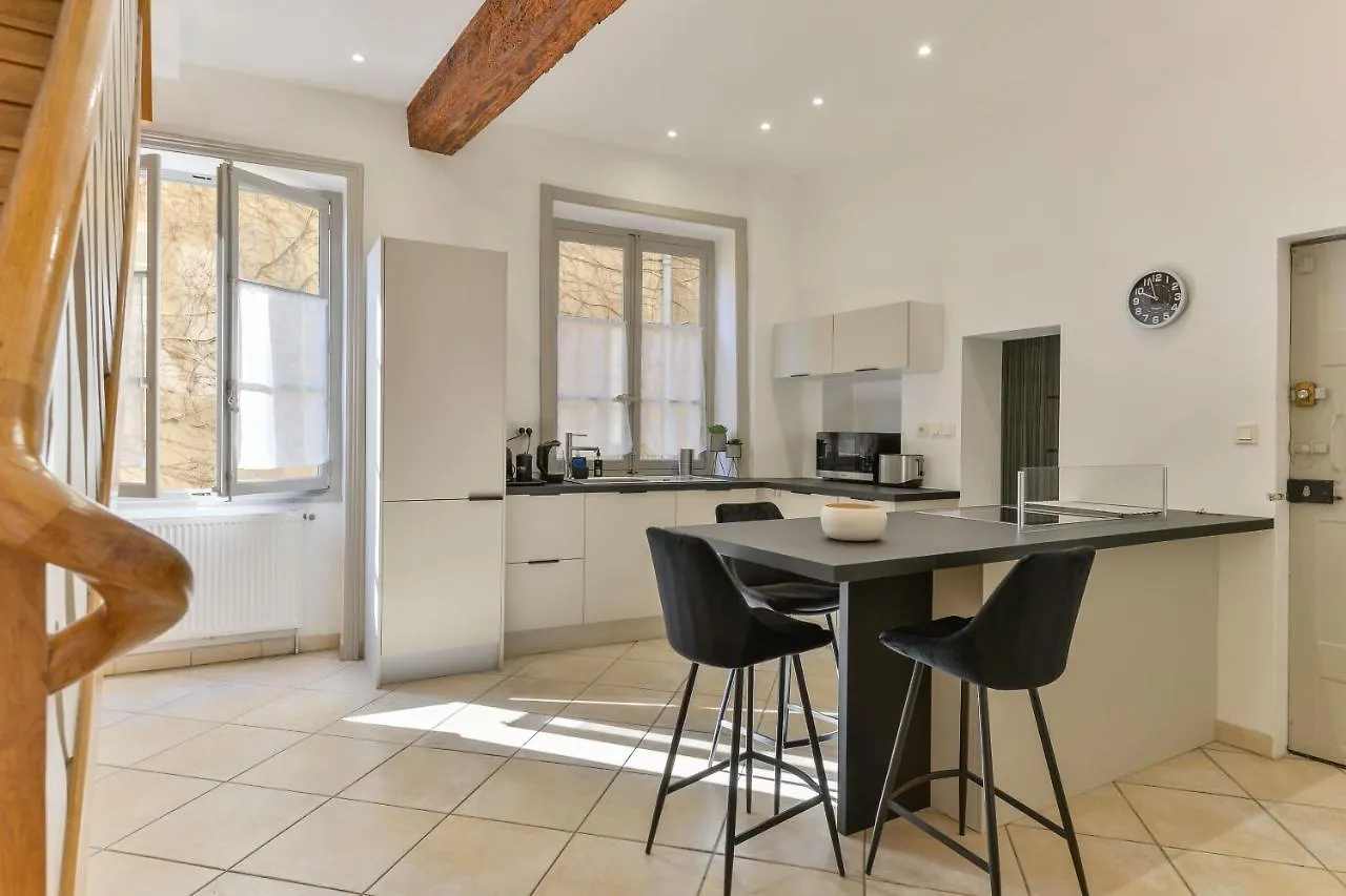 리옹 Beau Duplex Avec Jardin Et Vue 아파트 프랑스